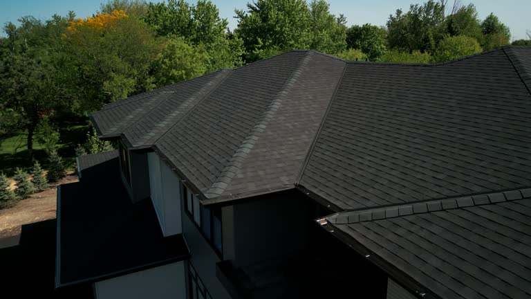 Best Solar Panel Roofing Installation  in Percy, IL