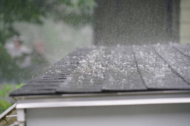 Best Metal Roofing Installation  in Percy, IL